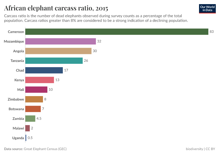 A thumbnail of the "African elephant carcass ratio" chart