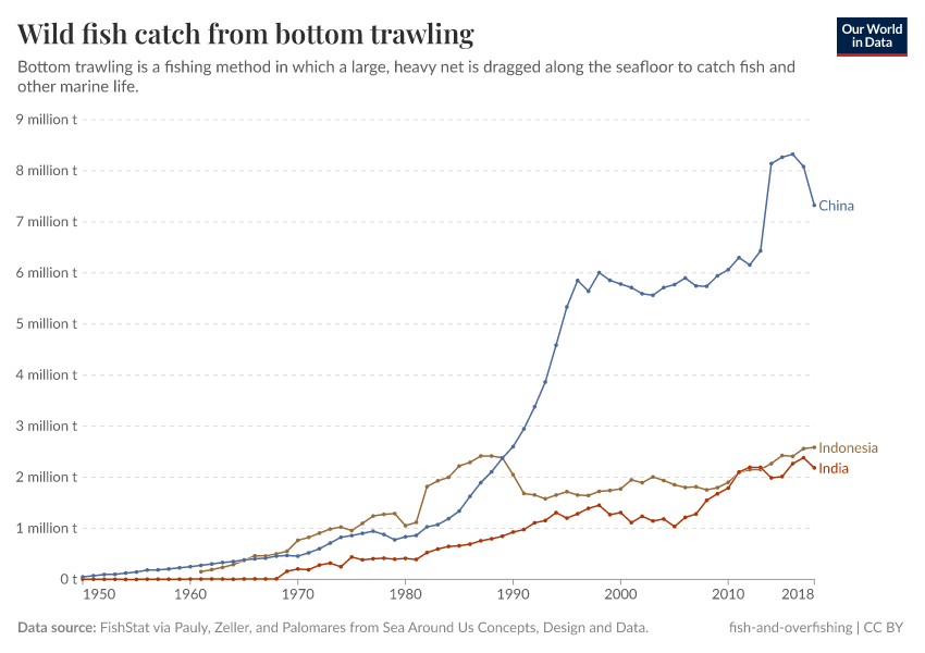 Wild fish catch from bottom trawling