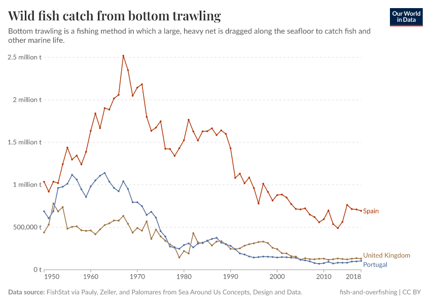 Wild fish catch from bottom trawling