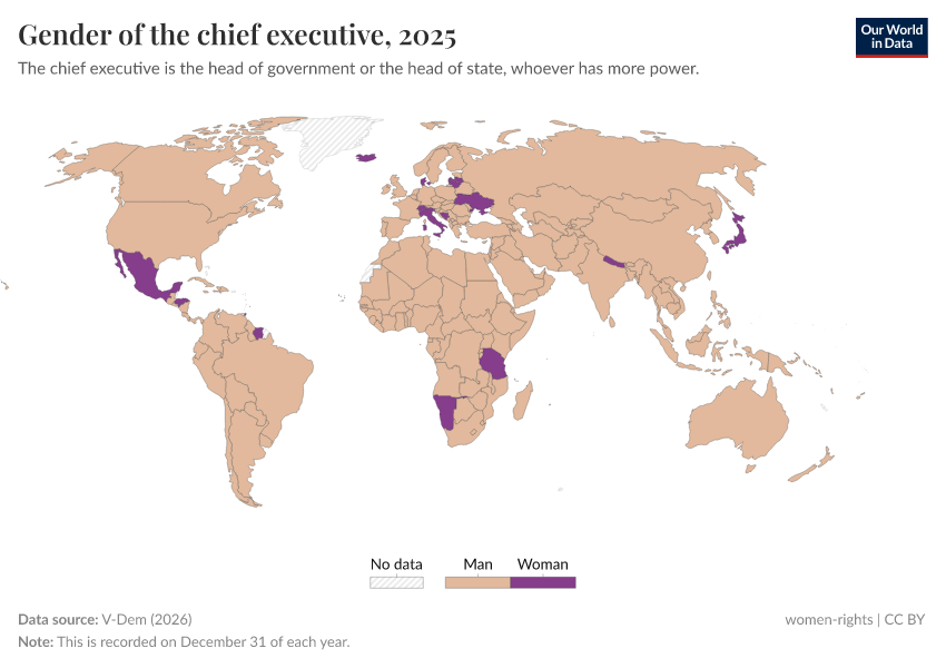 A thumbnail of the "Gender of the chief executive" chart