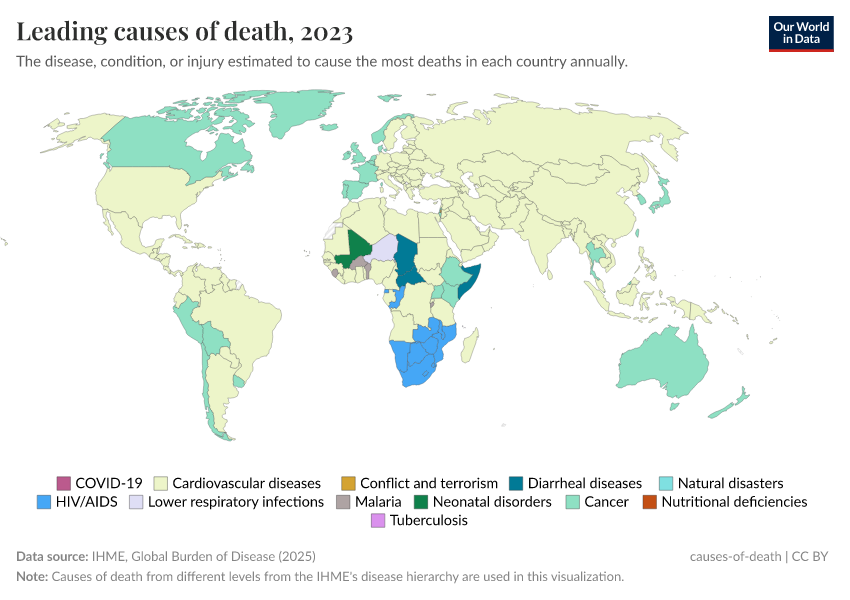 A thumbnail of the "Leading causes of death" chart