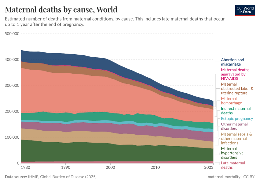 A thumbnail of the "Maternal deaths by cause" chart