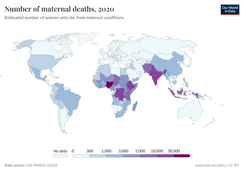 A thumbnail of the "Number of maternal deaths" chart