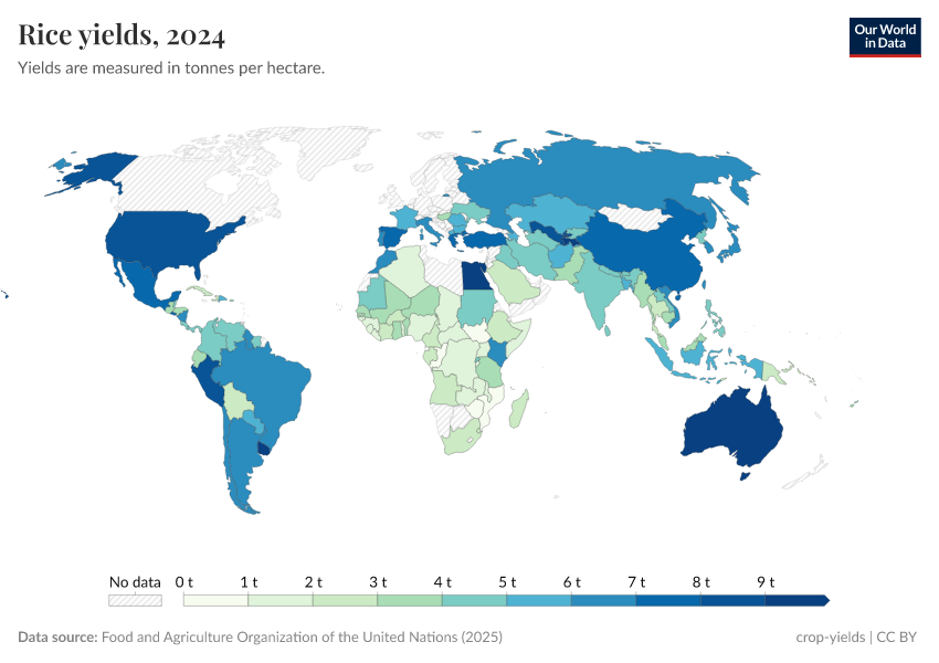 A thumbnail of the "Rice yields" chart