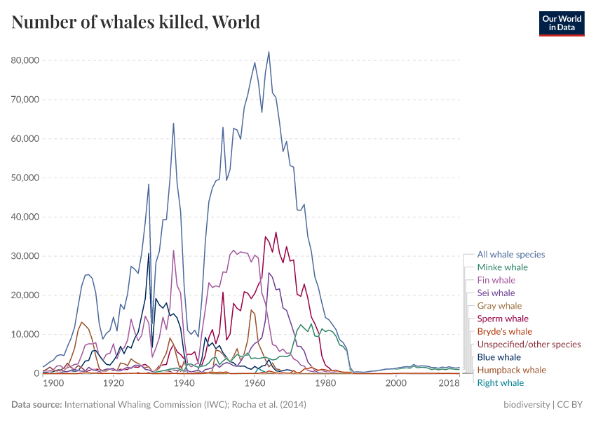 A thumbnail of the "Number of whales killed" chart