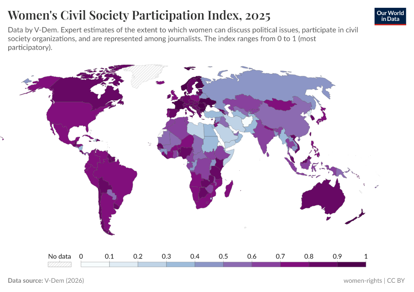 A thumbnail of the "Women's civil society participation index" chart